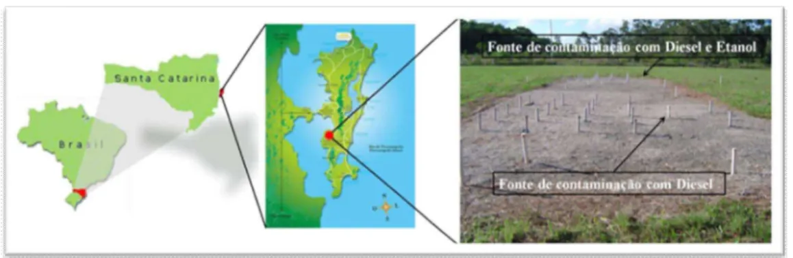 Figura 3.1 – Localização da área experimental. 