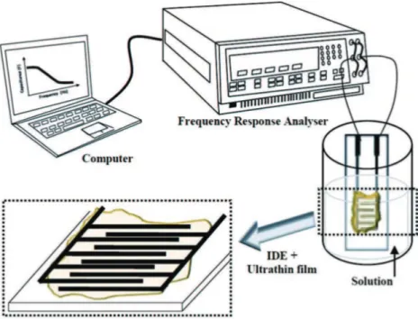 Figura 2.2: Sistema de espectroscopia por impedˆancia que emprega um sensor interdigi- interdigi-tado para reconhecer substˆancias biol´ogicas (figura extra´ıda de Riul Jr