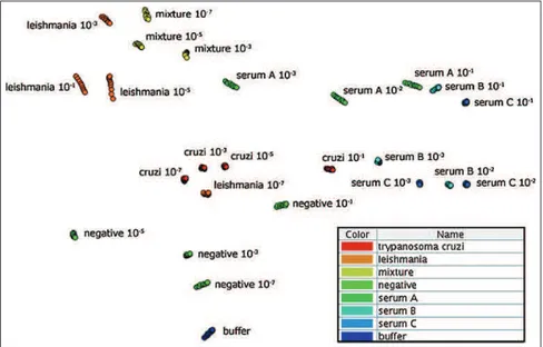 Figura 2.7: Proje¸c˜ao dos dados de impedˆancia para amostras de Leishmania amazonen- amazonen-sis e Trypanosoma cruzi (doen¸ca Chagas) com diferentes concentra¸c˜oes: serum A  (con-tendo anticorpos negativos), serum B (contendo anticorpos anti-Leishmania)