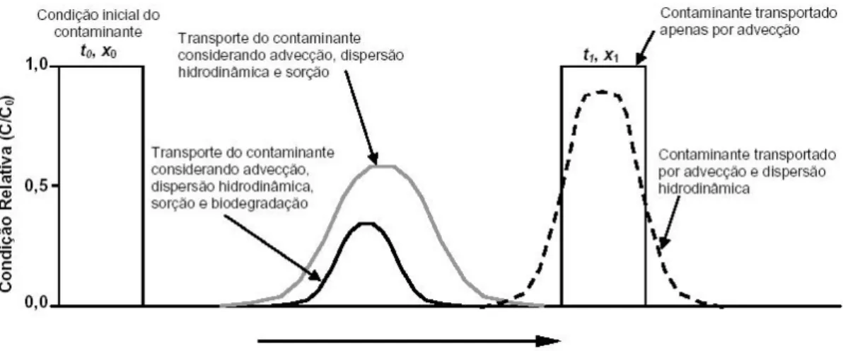 Figura 9 –Influência dos mecanismos de transporte e transformação sobre a  concentração de um contaminante num sistema de fluxo unidimensional     