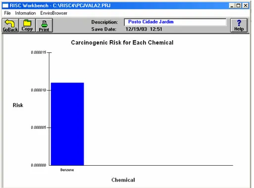 Figura 13: Risco carcinogênico associado ao benzeno nas diferentes rotas  de exposição
