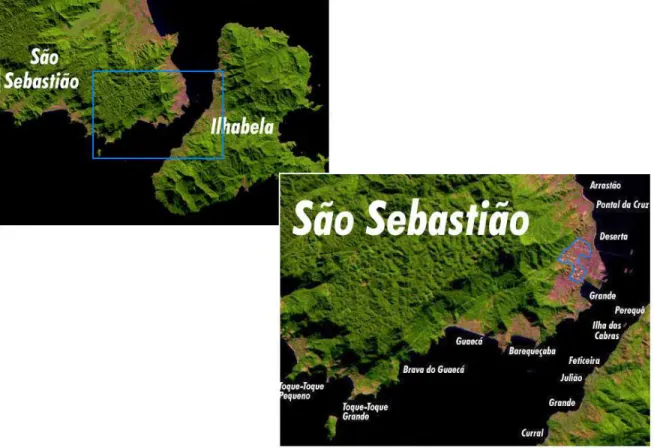 Figura 5 – Localização do Terminal na cidade de São Sebastião 