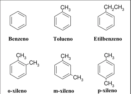 Figura 2.3 - Fórmula estrutural dos hidrocarbonetos monoaromáticos que formam o grupo  BTEX