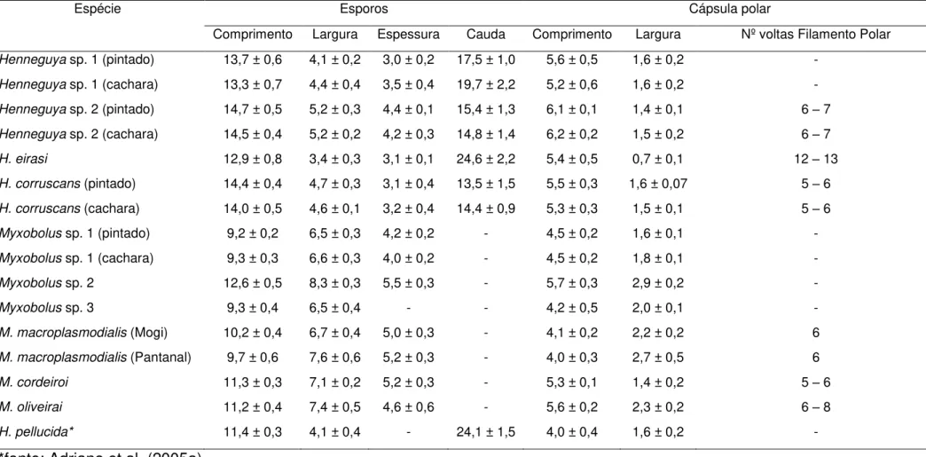 Tabela 3  –  Medidas dos esporos de Henneguya  ssp. e Myxobolus spp. envolvidas neste estudo