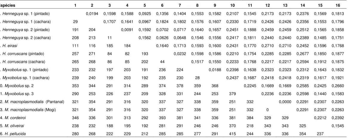 Tabela 4  –  Diferenças (entre pares) das sequências do gene 18S rDNA de Myxozoa parasitas de peixes de água doce da América  do  Sul