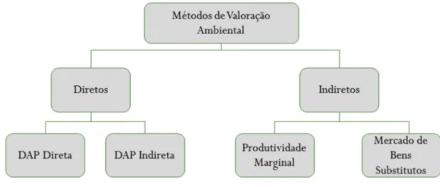 Figura 4 - Métodos econômicos de valoração ambiental. Adaptado de Maia (2002). 