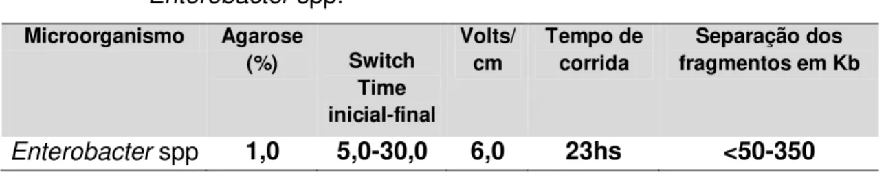 Tabela 3 -   Condições  de  corrida  de  PFGE  para  o  microrganismo  Enterobacter spp