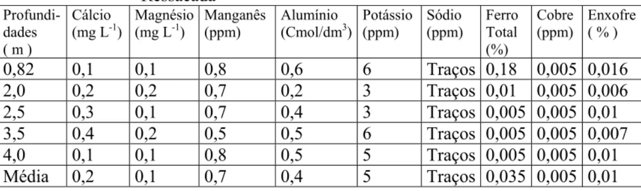 TABELA 3.1 - Resultados dos nutrientes no solo da Fazenda Experimental da  Ressacada   Profundi-dades  ( m )  Cálcio (mg L -1 )  Magnésio (mg L-1)  Manganês (ppm)  Alumínio  (Cmol/dm 3 ) Potássio (ppm)  Sódio  (ppm)  Ferro Total (%)  Cobre (ppm)  Enxofre (