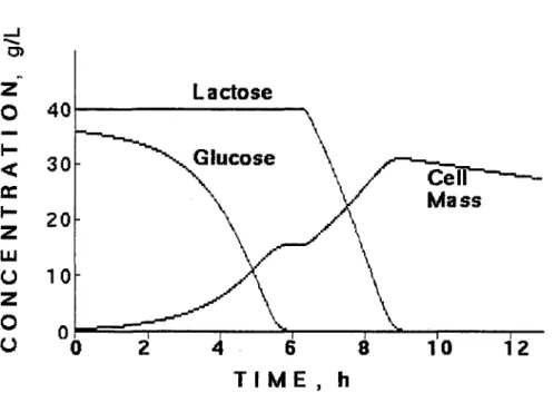Figura  6.  Crescimento  bifásico  de  uma  população  bacteriana  na  presença  de  dois  substratos disponíveis.