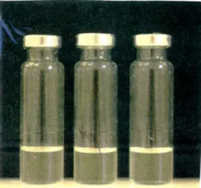 Figura 9: Microcosmos utilizados nos experimentos de biodegradação contendo 5mL  de meio MSB.