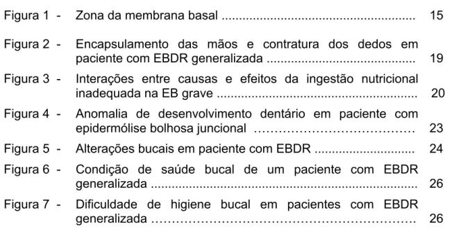 Figura 1  -  Zona da membrana basal .......................................................
