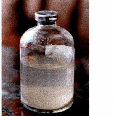Figura 6  -  microcosmo  contendo  20  g  de  material aqüífero,  50  ml  de  solução  nutritiva e 20 mg/l de composto hidrocarboneto monoaromático.