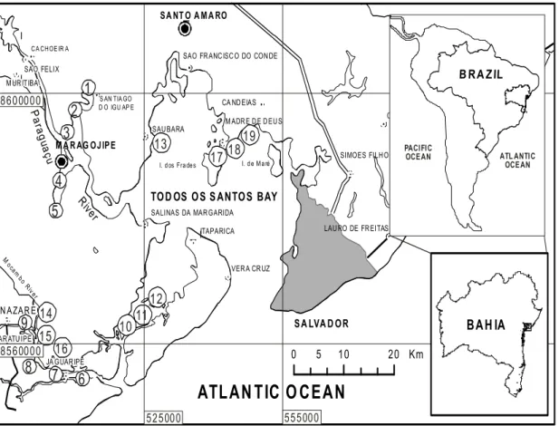 Figure 1.  Map of Todos os Santos Bay, Bahia, Brazil, indicate sampling sites of surface water 