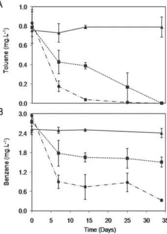 Figure 5. Hypothetical concentration profiles and NAPL plume impacts of (A) ethanol vs