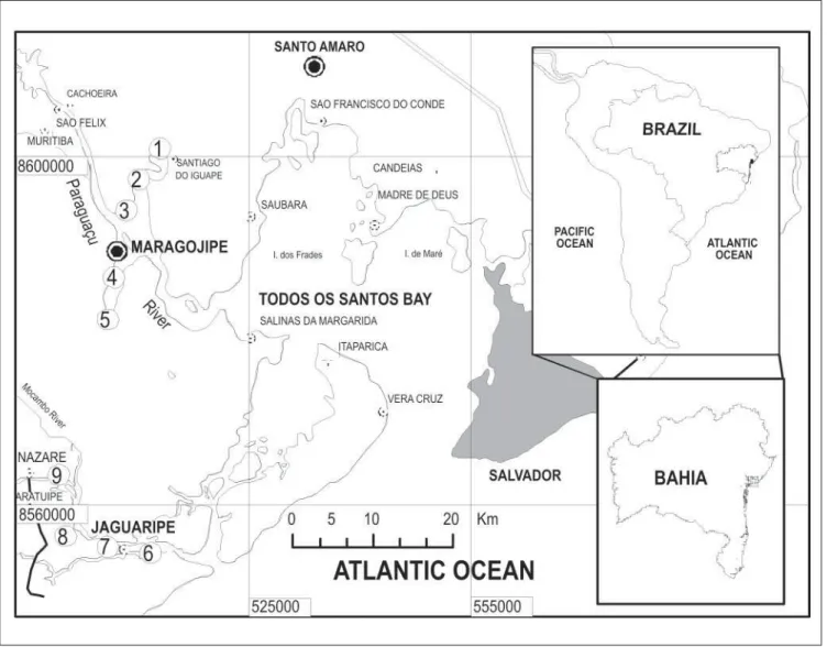 Figure 1 - Map of Todos os Santos Bay, Bahia (Brazil) indicates sampling sites of the surface water.