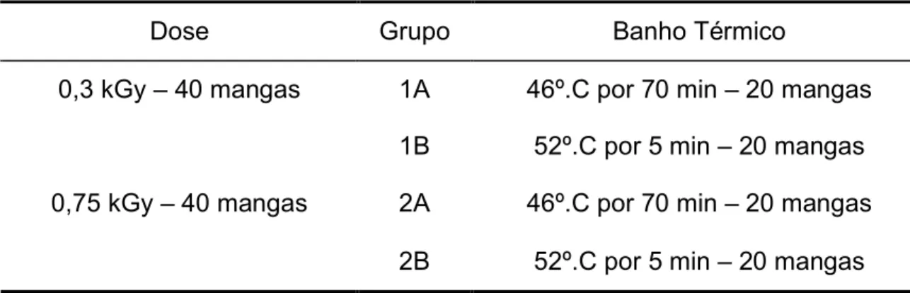 Tabela 2. Tratamentos combinados envolvendo irradiação e banho térmico. 