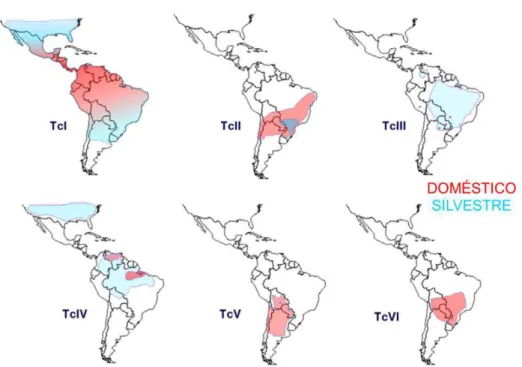 Figura 3 -  Distribuição geográfica aproximada das DTUs de T. cruzi nos ciclos de  transmissão doméstico silvestre