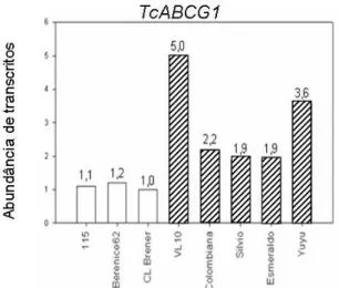 Figura 10 -  Abundância relativa de transcritos do gene TcABCG1 em cepas sensíveis  (barras brancas) e resistentes (barras hachuradas) a BZ