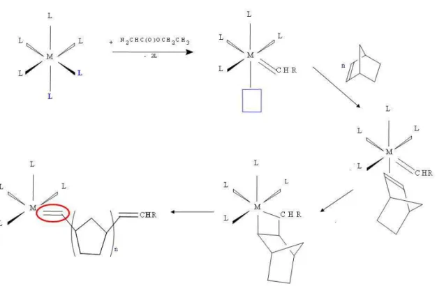 Figura  3  Processo  de  iniciação  para  as  reações  de  ROMP  utilizando  um  complexo  hexacoordenado (ML 6 ).