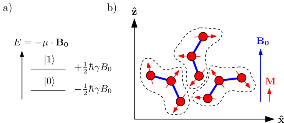 Figura 1: (a) N´ıveis de energia magn´eticos de um dipolo nuclear, µ = γI, na presenc¸a de um campo magn´etico B 0 e a respectiva indexac¸˜ao dos estados l´ogicos