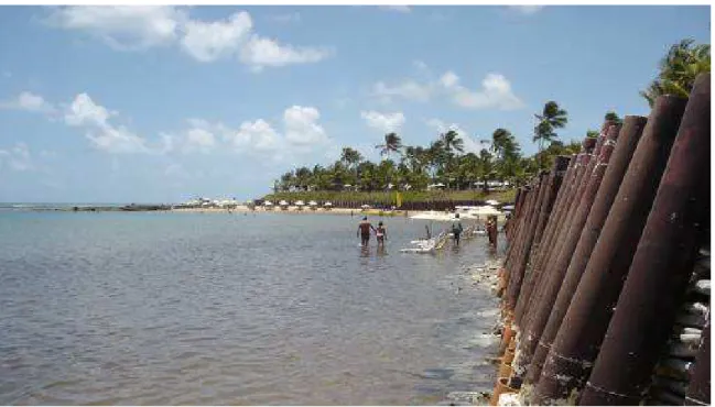 Foto 5 – Barreiras de proteção, praia de Muro Alto, litoral sul do Estado (Fonte: Autora, 2008)