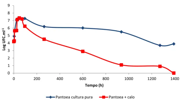 Figura 12 - Curvas de crescimento de Pantoea sp. ICB409 cultivada com ou sem a presença  de calo