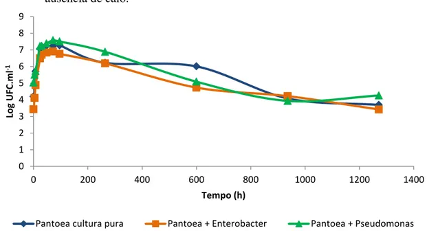 Figura  13  -  Curvas  de  crescimento  de  Pantoea  sp.  ICB409  cultivada  em  ausência  de  calo  (Pantoea  cultura pura) e em mistura com  Enterobacter  sp