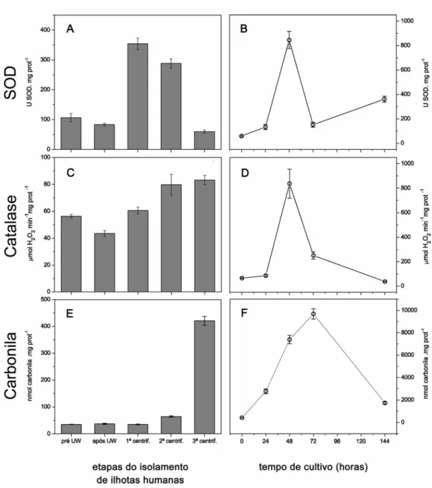 Figura 9. Resultado das análises do pâncreas P13/01. Atividade enzimática da  SOD, catalase e níveis de carbonila em amostras coletadas durante o processamento do  pâncreas (A, C e E respectivamente) e no período em que foram mantidas em cultura (B,  D e F