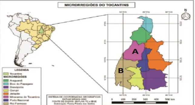 Figura 01: Divisão geográfica do Estado do Tocantins destacando as oito microrregiões  