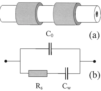 Figura 1.5. Representação da cela de CCD, fonnada por um capilar e dois eletrodos metálicos (a) e do seu respectivo circuito equivalente (b), onde temos representadas as capacitâncias da parede do capilar (Cw)e intereletrodos (Co), e a resistência da soluç