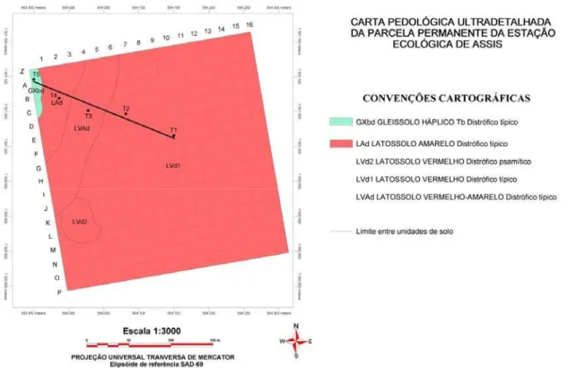 Figura 2 - Mapa de solos da parcela permanente da Estação Ecológica de Assis, com a localização da  pedoseqüência estudada