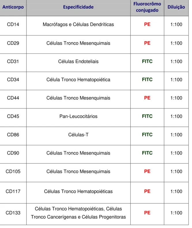 Tabela  1  -  Anticorpos  monoclonais  utilizados  na  caracterização  das  células- células-tronco por citometria de fluxo