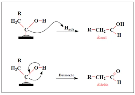 Figura 3 - Representação esquemática da formação de álcool e aldeído 