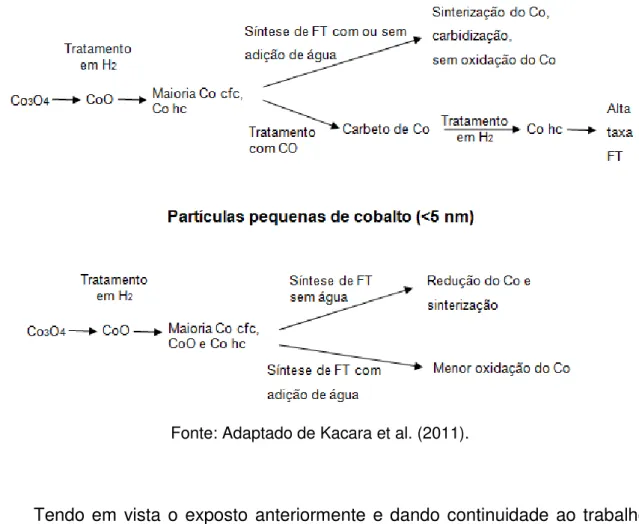 Figura 5 - Modificações na estrutura do catalisador de cobalto suportado em alumina  durante ativação e síntese de FT