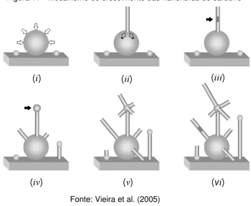 Figura 11 - Mecanismo de crescimento das nanofibras de carbono