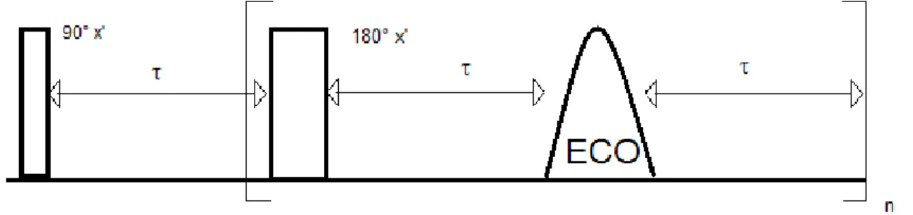 Figura 5: Sequência para determinação de T 2  proposta por Carl e Purcell 
