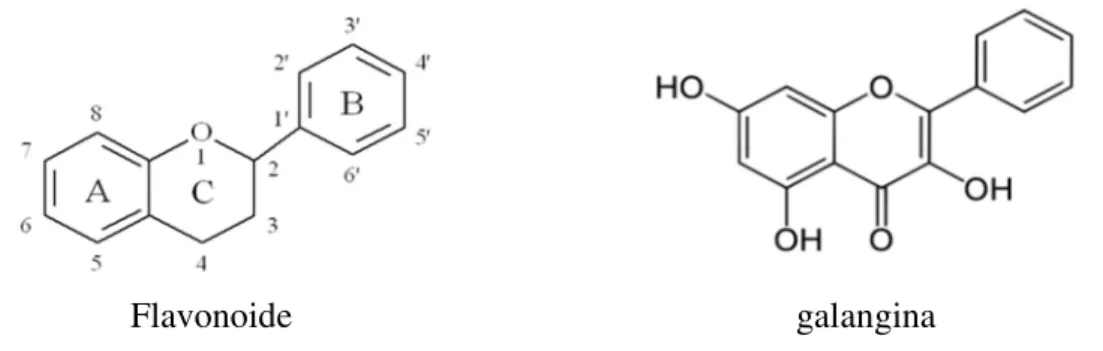 Figura 1.4: Estruturas químicas dos flavonóides e da galangina. 
