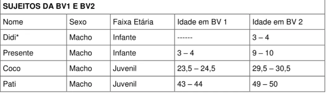 Tabela 2 - Sujeitos da BV1 e BV2 