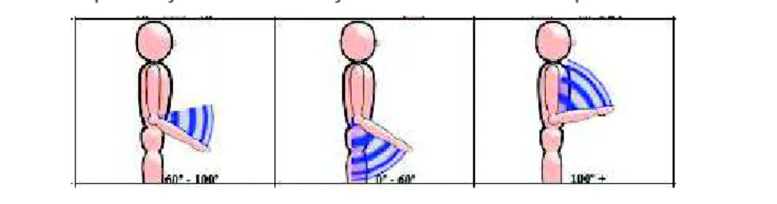 Figura 2 – Possíveis pontuações do antebraço de acordo com a amplitude de movimento 