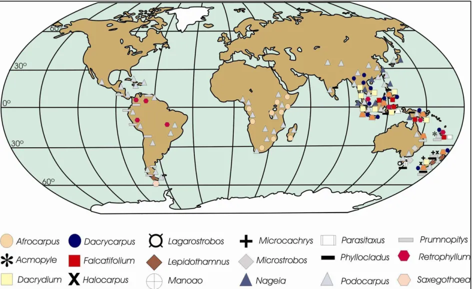 Figura  3  -  Distribuição  moderna  dos  membros  da  família  Podocarpaceae.  Dados  de  Dallimore;  Jackson;  Harrison  (1967);  Van  Royen (1979); Quinn (1982); De Laubenfels (1985, 1988); Silba (1986); Harden (1990); Vidakovic (1991); Molloy 