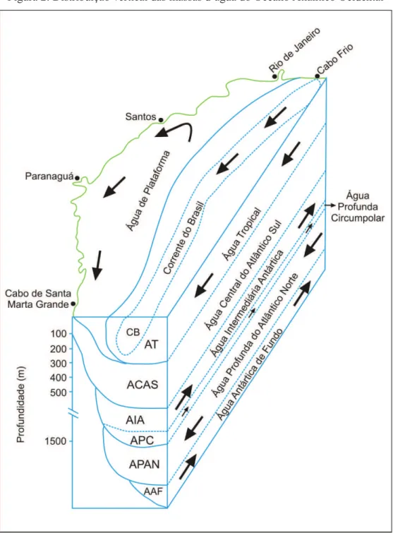 Figura 2: Distribuição vertical das massas d´água do Oceano Atlântico Ocidental 