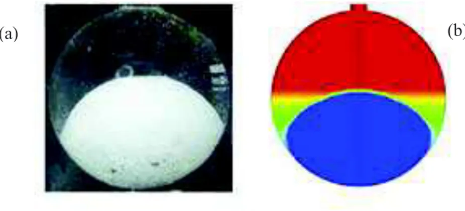 Figura 4.2 - Campo de fração de massa do RT 27 após 40 min: (a) Tan (2008) e (b)  Hosseinizadeh et al