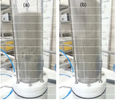Figura 4.6 – Fotos do equipamento em fluidização, em dois instantes diferentes,  utilizando a partícula EV3, distribuidor tipo placa perfurada e velocidade aproximada 