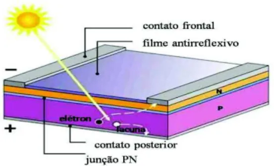 Figura 2.2 - Estrutura de uma célula de silício  Fonte: NT- solar PUCRS (2008).
