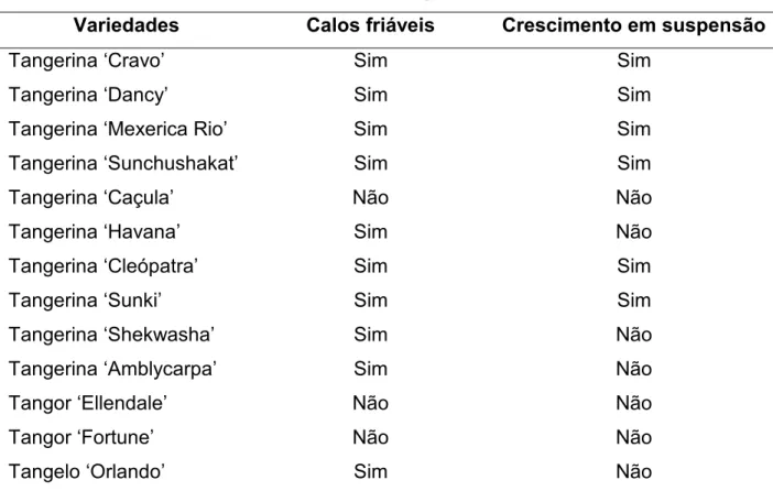 Tabela 1 – Calos embriogênicos obtidos a partir de óvulos abortados em meio de  cultura EME suplementado com 5mg.L -1  de BAP, Piracicaba, 2004 