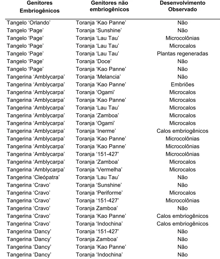 Tabela 2 – Fusões de protoplastos realizadas e desenvolvimento observado (janeiro de  2004 a março de 2005)  Genitores  Embriogênicos  Genitores não  embriogênicos  Desenvolvimento Observado  Tangelo ‘Orlando’  Toranja ‘Kao Panne’  Não 