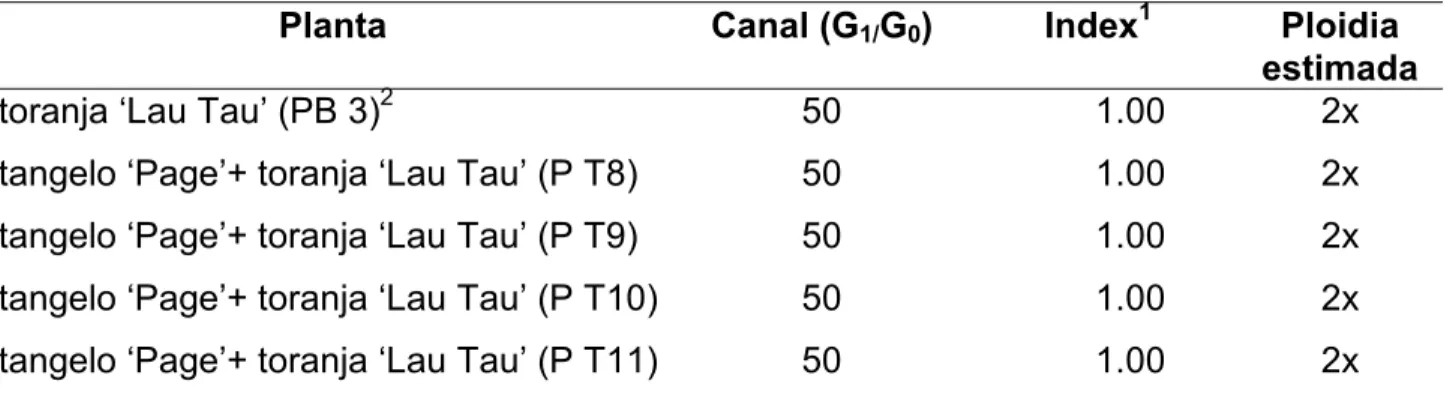 Tabela 3 - Análises por citometria de fluxo de suspensões  nucleares  de  folhas  de          tangelo ‘Page’ + toranja ‘Lau Tau’ e do genitor não embriogênico toranja 