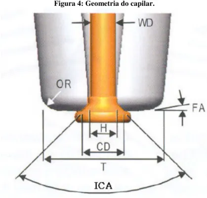 Figura 4: Geometria do capilar.