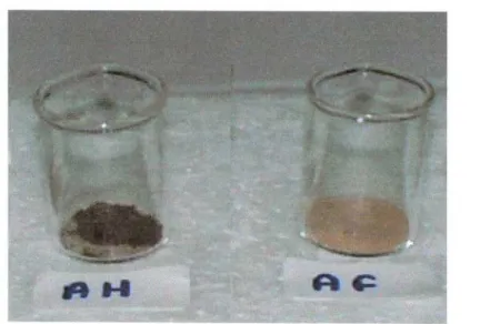 Figura 1.4 - Amostras de ácidos húmicos e fiílvicos extraídas do Rio João Pereira, em Bertioga/SP.