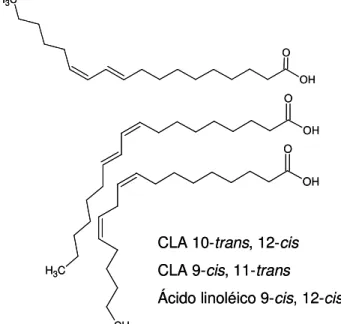 Figura  2.  Estrutura  dos  CLAs  trans10,  cis12  e  cis9,  trans11  e  do  ácido  linoleico